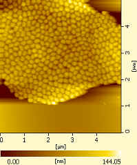 Particle size (by electron microscope)